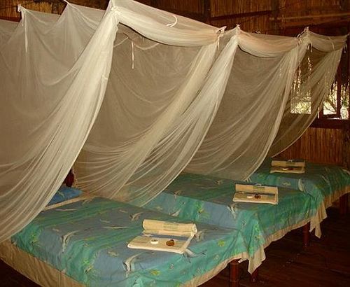 Casa Barry Beach Lodge Praia do Praia do Tofo المظهر الخارجي الصورة